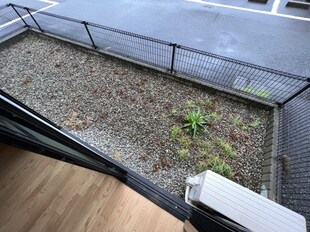 山陽網干駅 徒歩14分 2階の物件内観写真